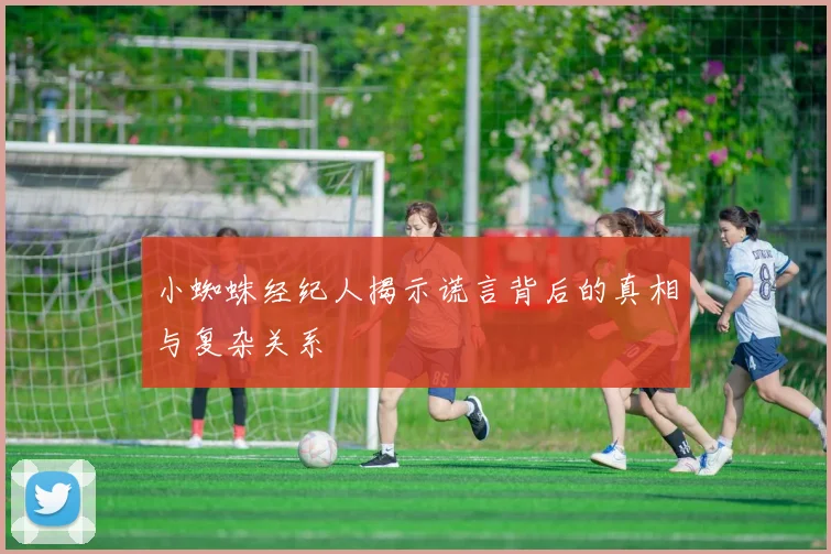 小蜘蛛经纪人揭示谎言背后的真相与复杂关系